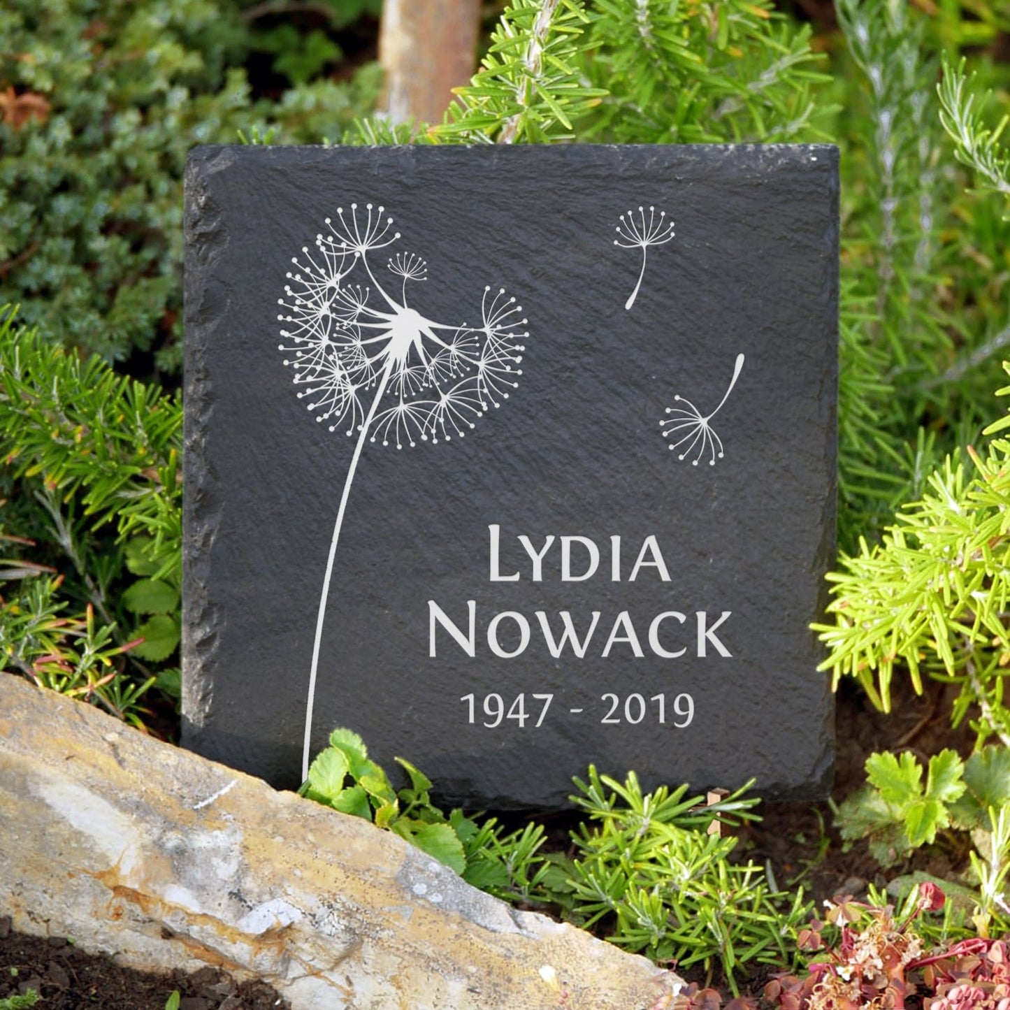 Grabplatte 30x30 cm mit Pusteblume und Inschrift von Memoriam Gedenktafeln.