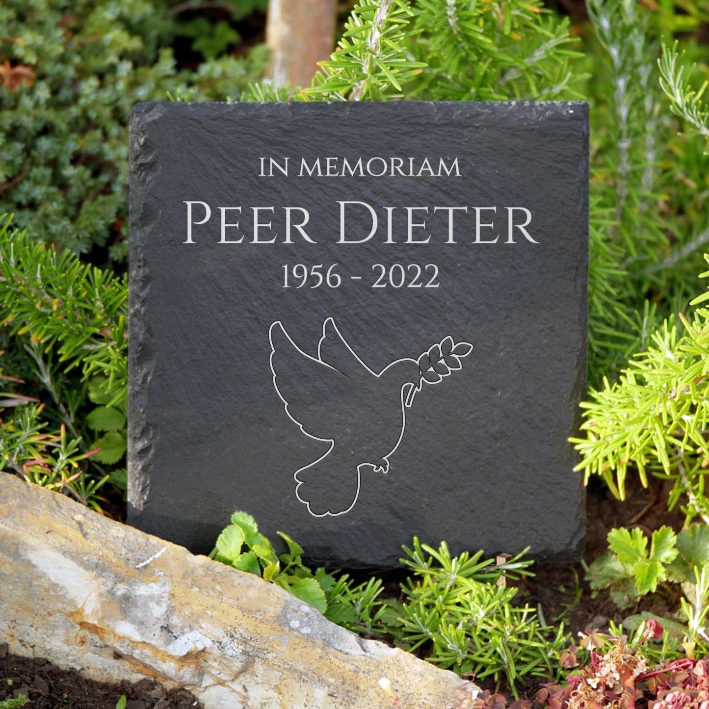 Urnengrab Grabtafel 30x30 cm aus Schiefer mit Beschriftung und Taube Gravur | MEMORIAM Gedenktafeln.