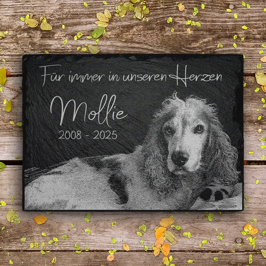 Hunde Grabstein mit Foto Gravur und Inschrift. Aus natürlichem Schiefer.  Mit MEMORIAM online kaufen.