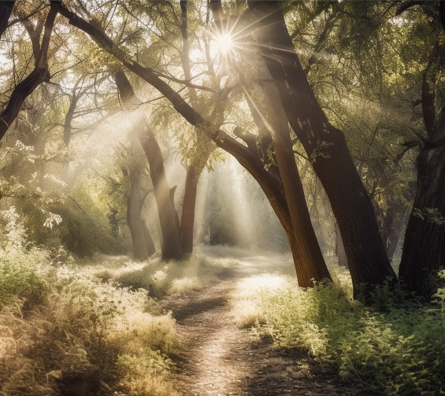 Gedenktafeln für Ruhewald und Friedhof von Memoriam.