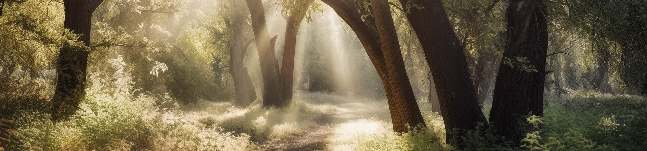 Grabpatten für Friedhof und Ruhewald von Memoriam.
