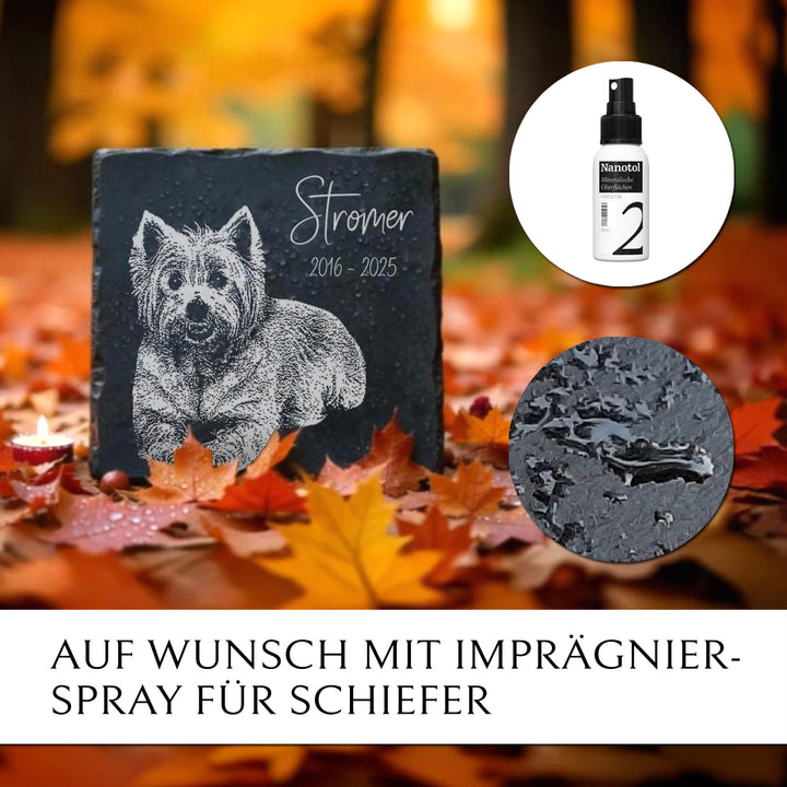 Grabstein Hund  - mit Foto Gravur. Von Memoriam Gedenktafeln.