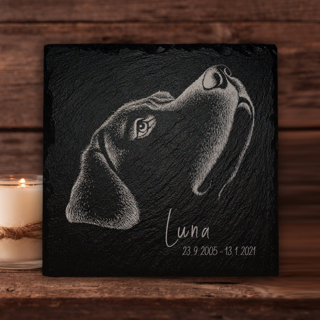 Grabplatte für Hund inkl. Foto Gravur online kaufen bei MEMORIAM Gedenktafeln.